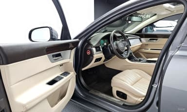 XF (x260)