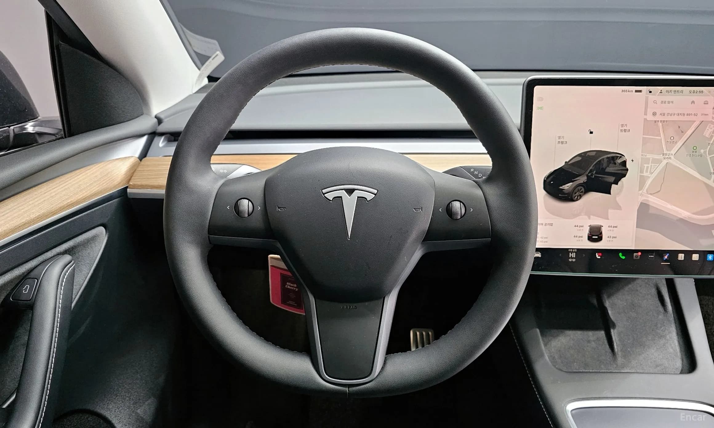 Model Y