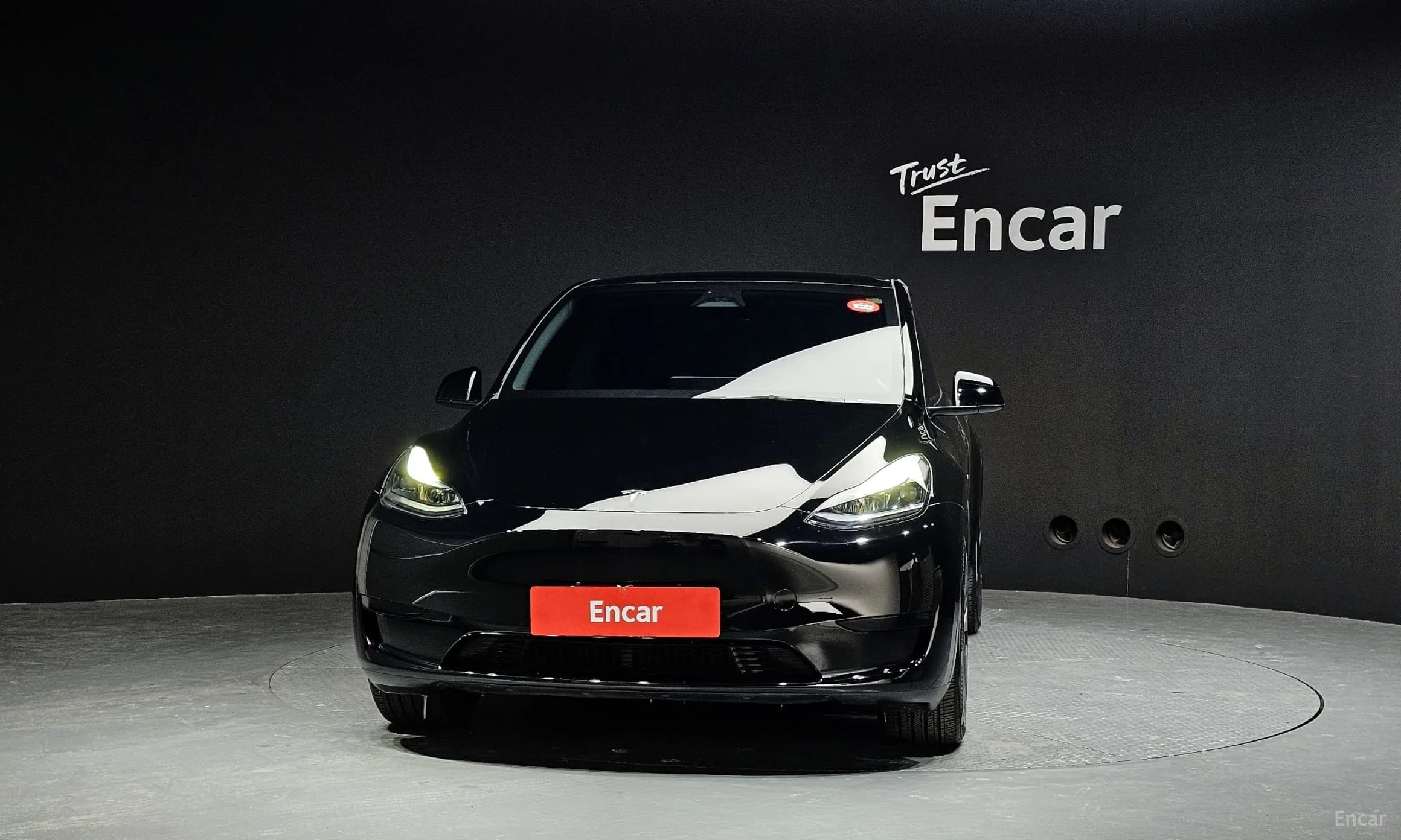 Model Y