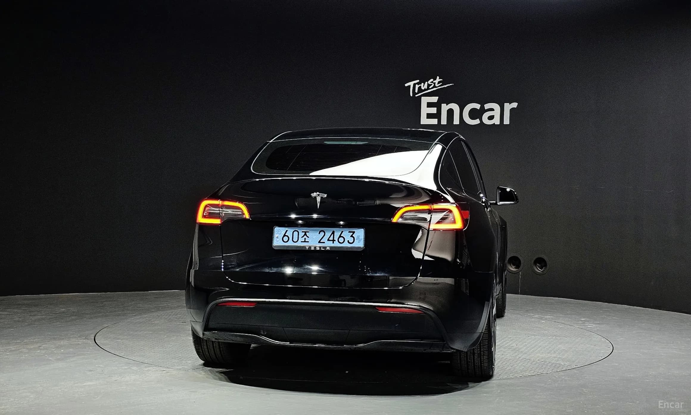 Model Y