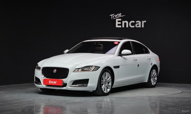 XF (x260)