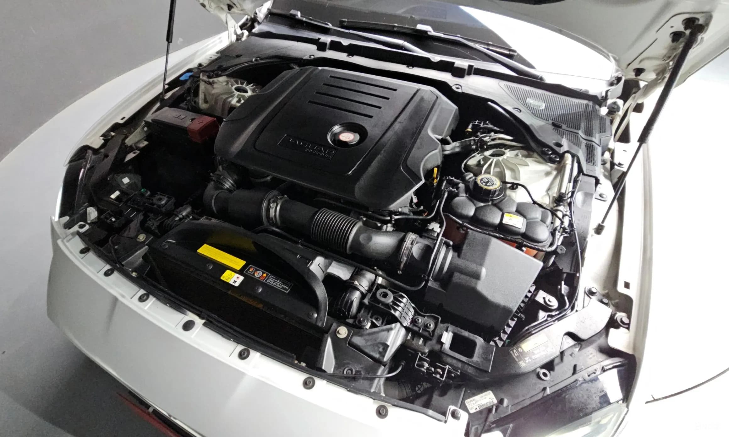 XF (x260)