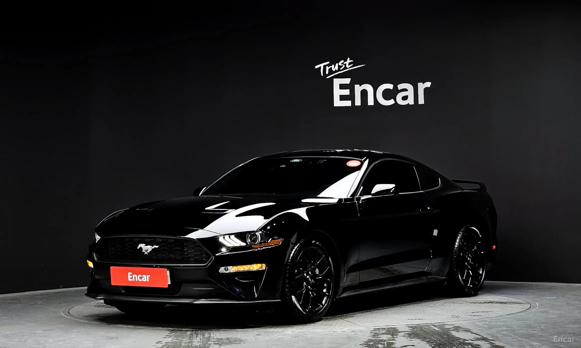 Mustang