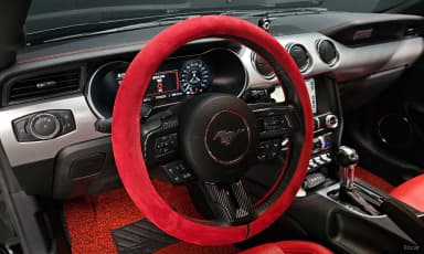 Mustang