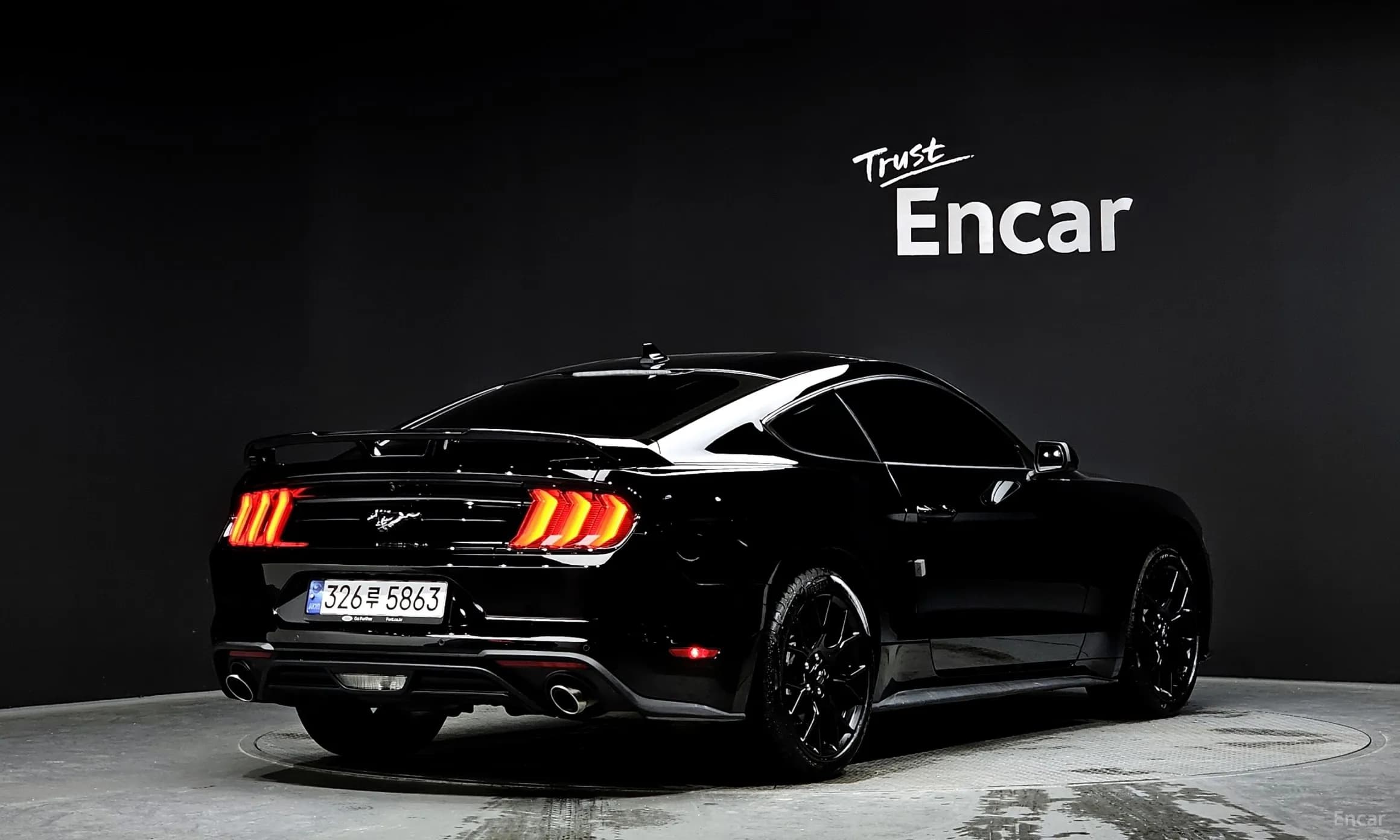 Mustang
