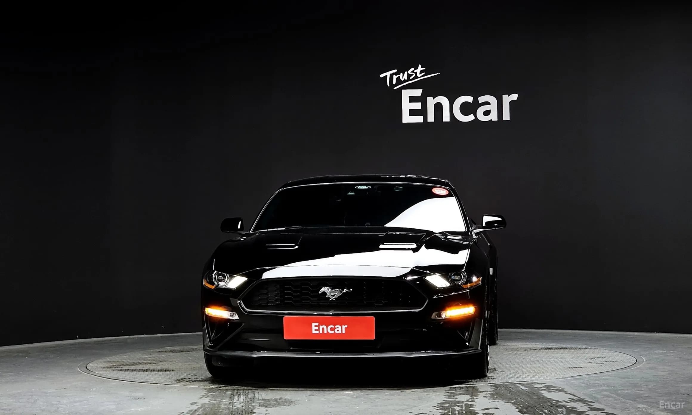 Mustang