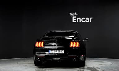 Mustang