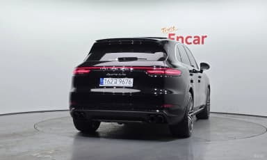 Cayenne (PO536)