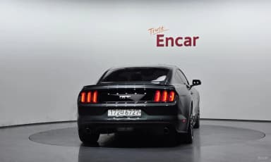Mustang