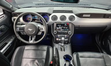 Mustang