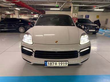Cayenne (PO536)