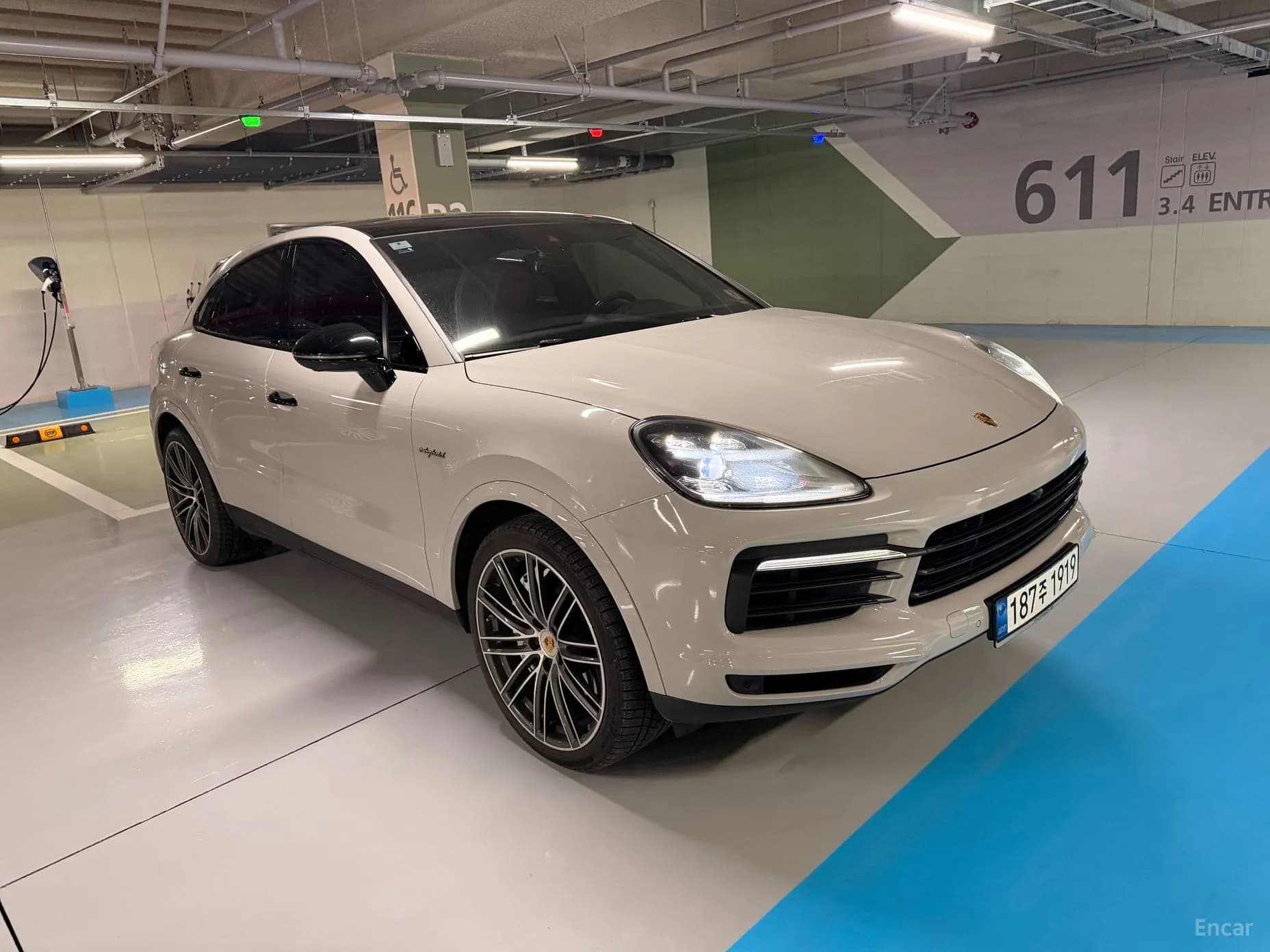 Cayenne (PO536)