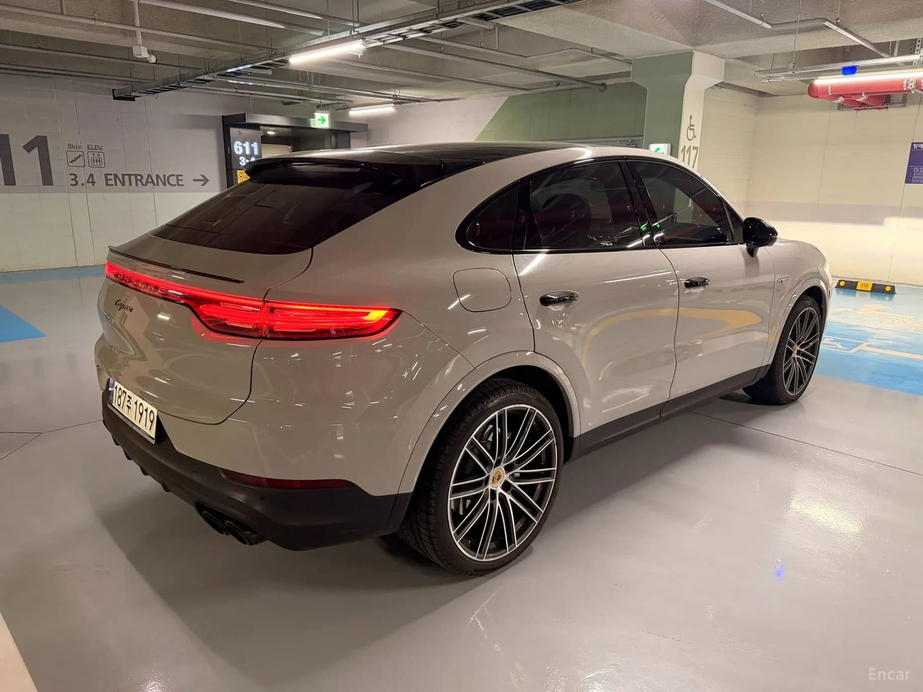 Cayenne (PO536)