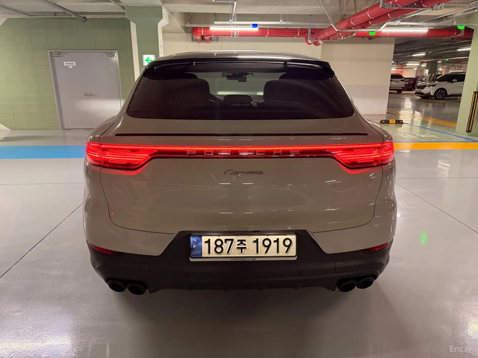 Cayenne (PO536)