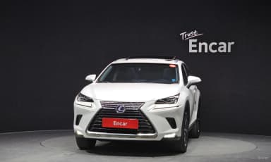 NX300h