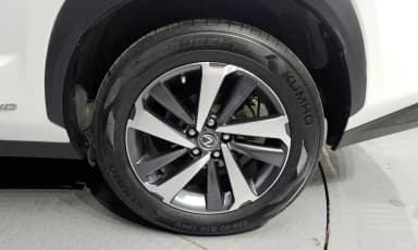 NX300h