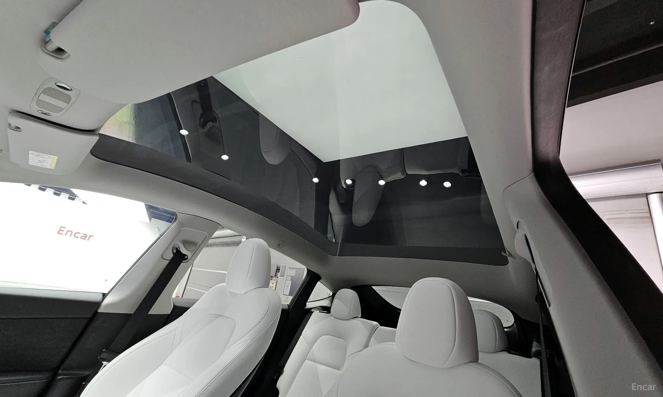 Model Y