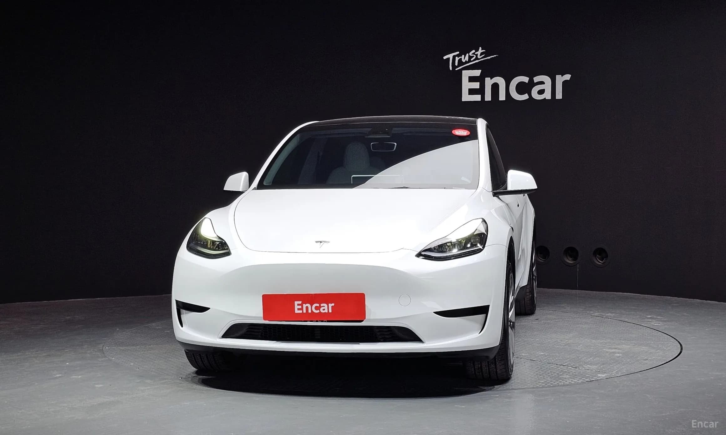 Model Y