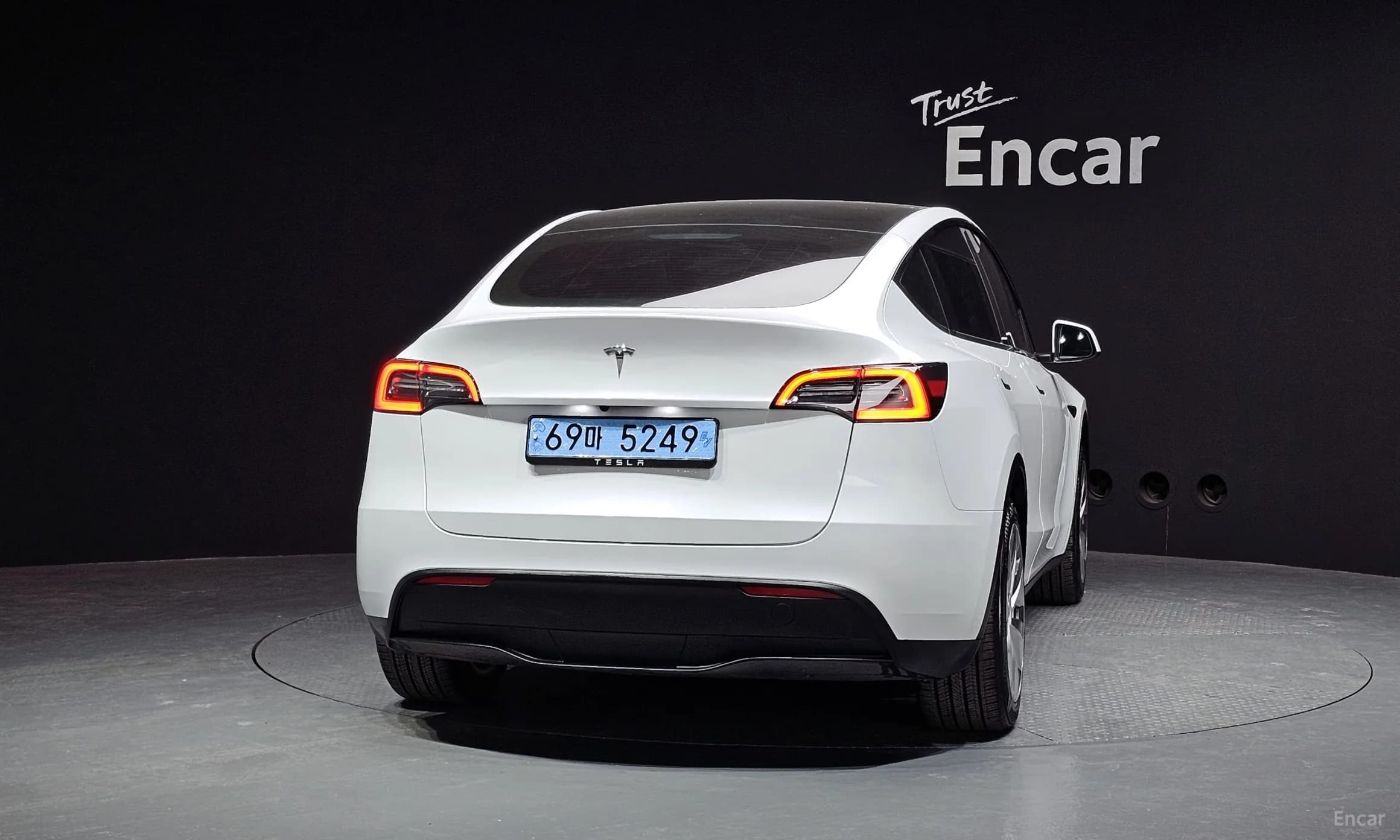 Model Y