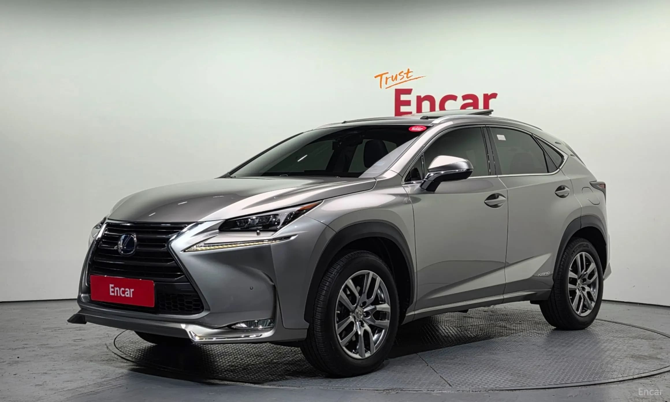 NX300h
