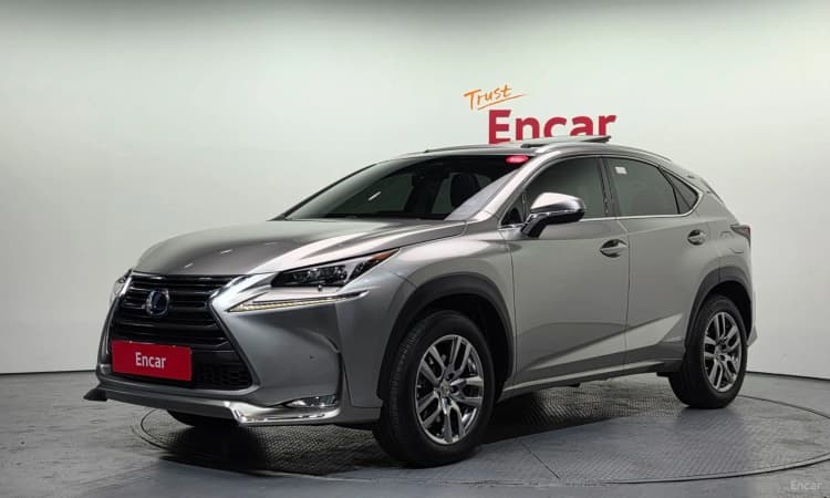 NX300h