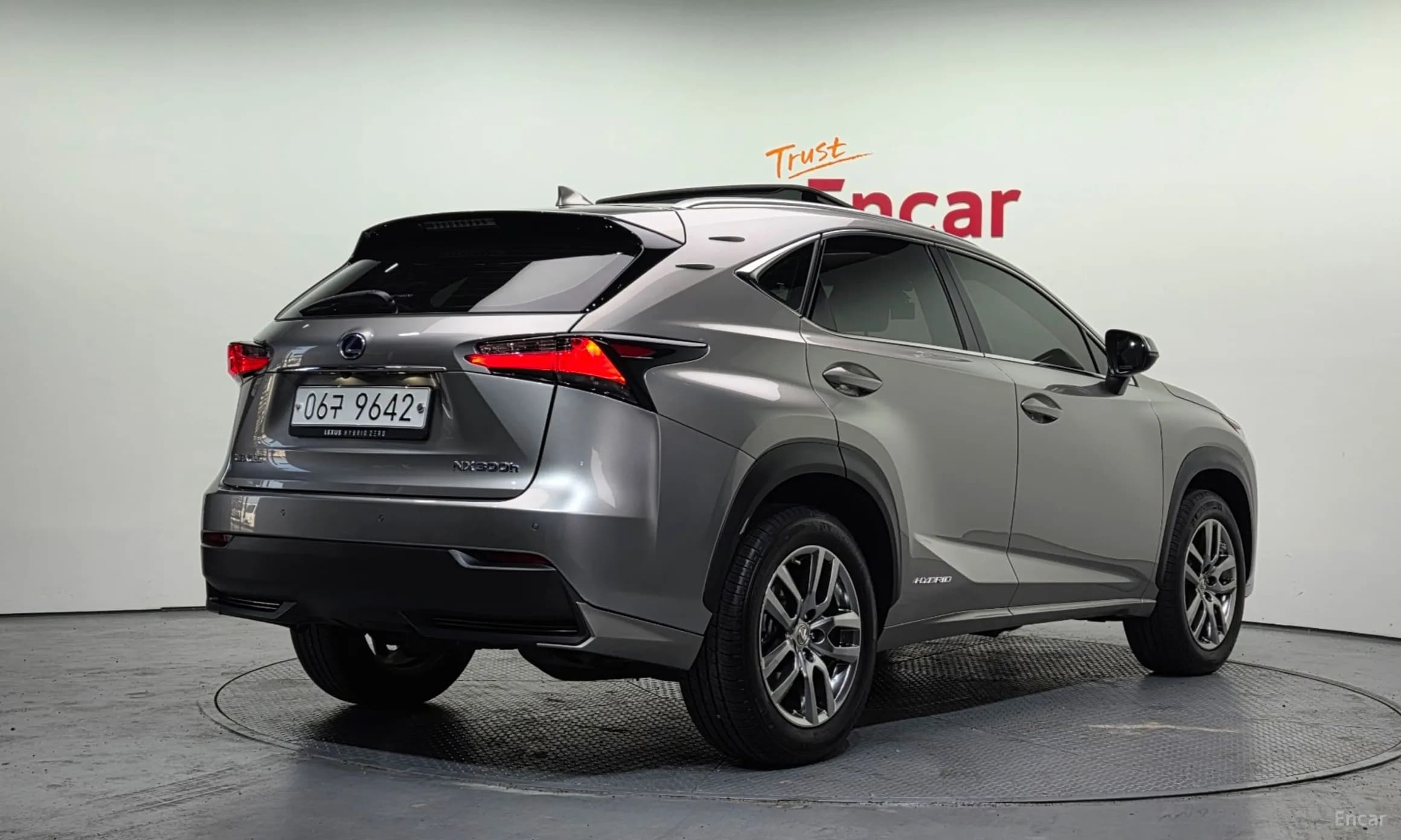 NX300h