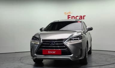 NX300h