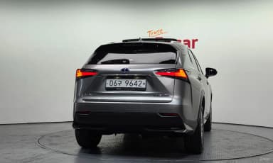 NX300h