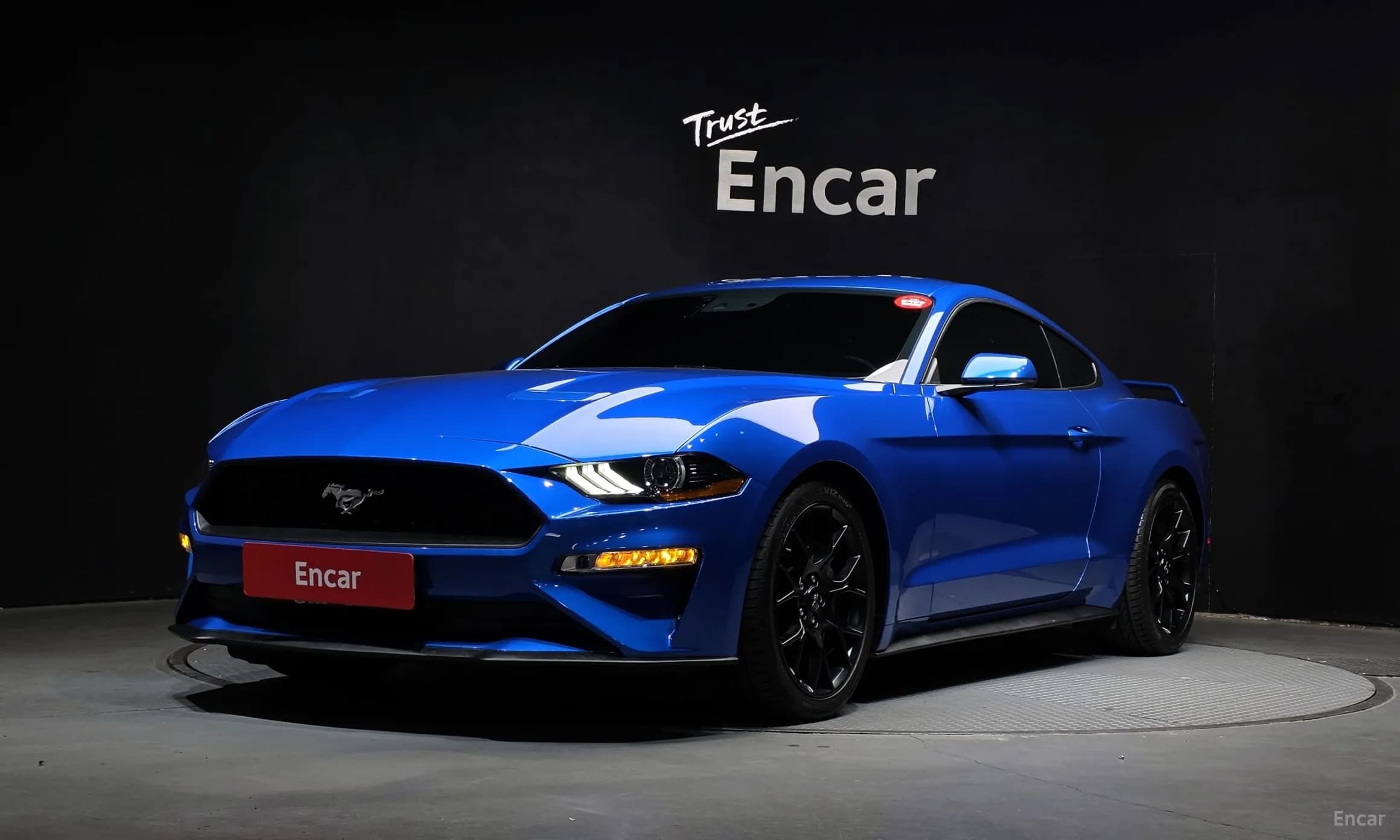 Mustang