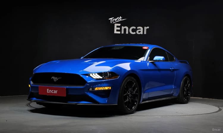 Mustang