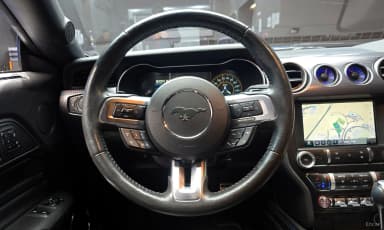 Mustang