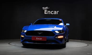 Mustang
