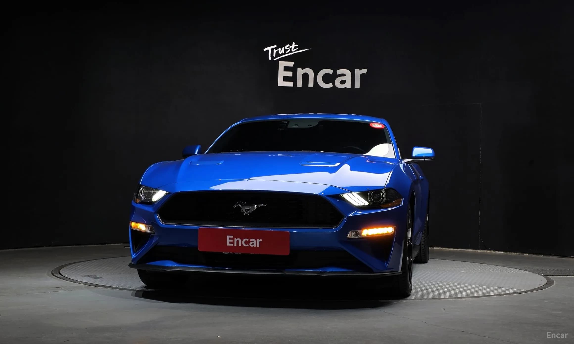 Mustang