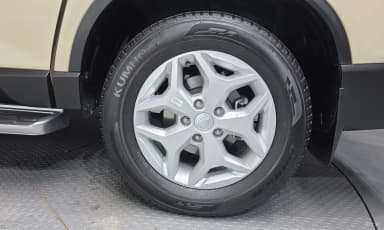 Rexton Sports