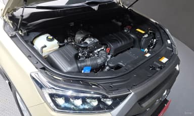 Rexton Sports