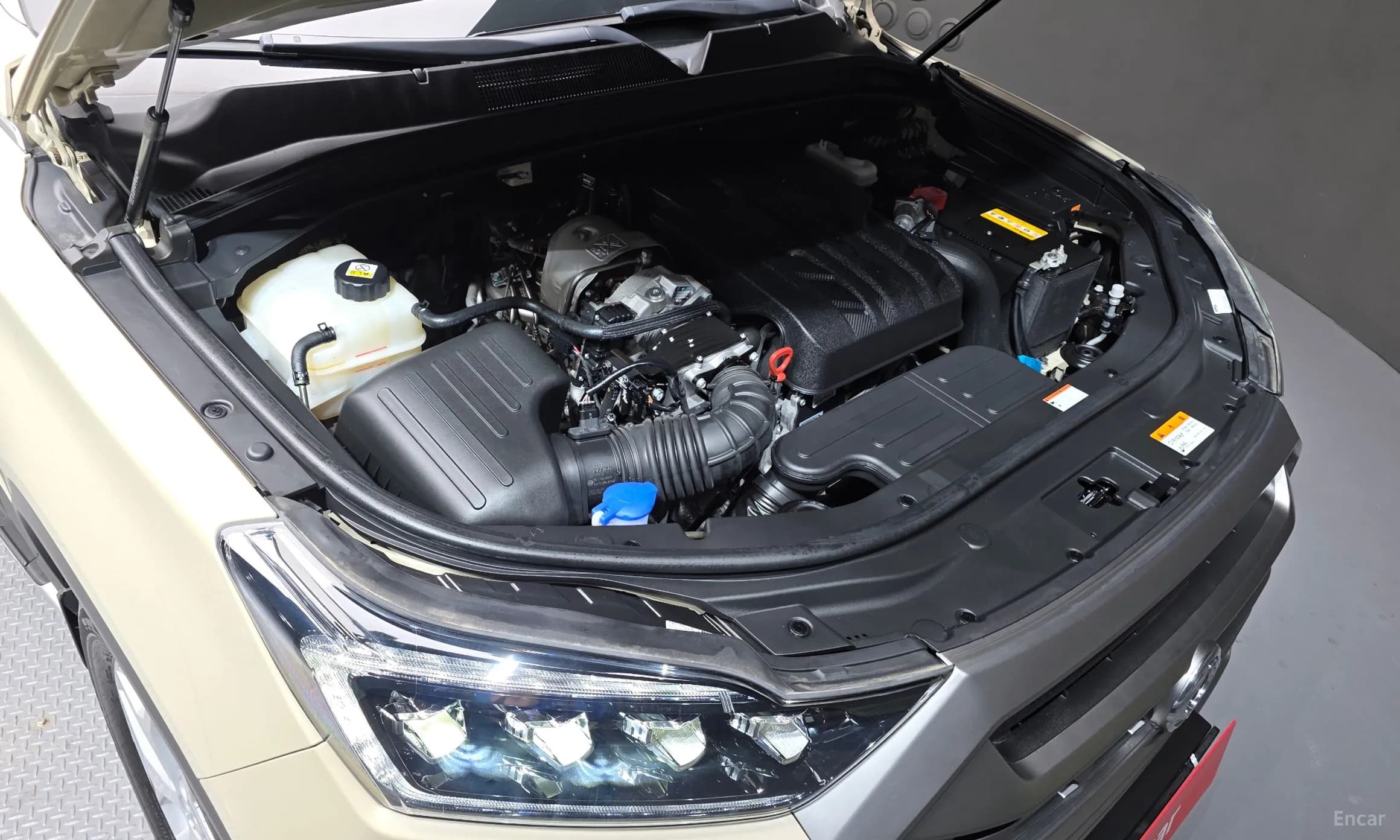 Rexton Sports