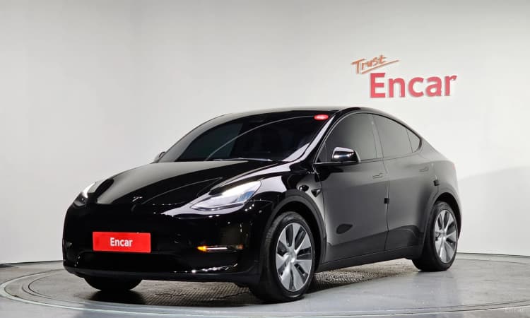 Model Y