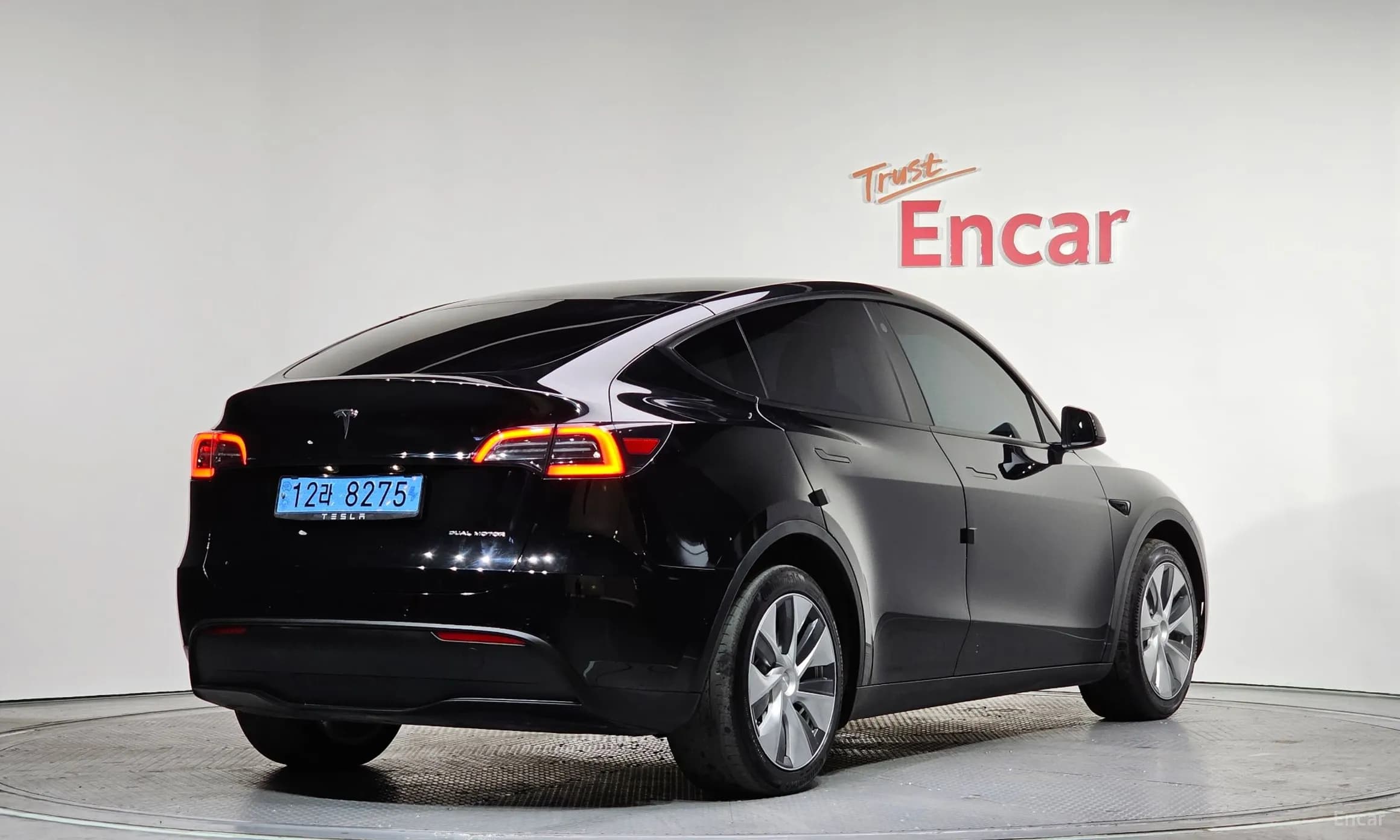 Model Y