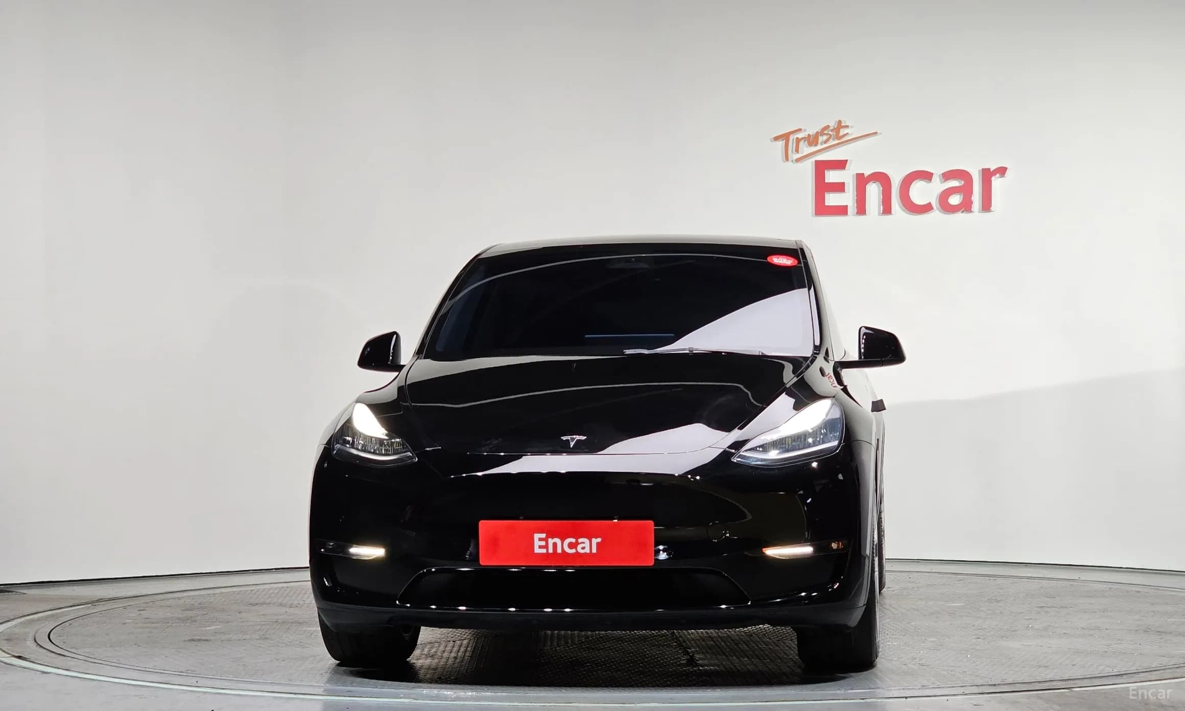Model Y