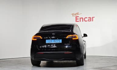 Model Y