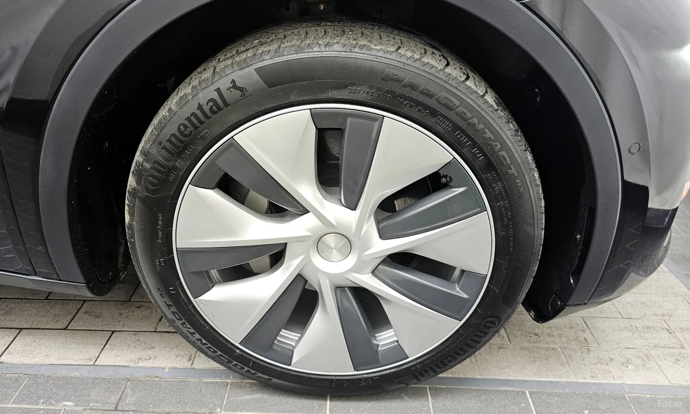 Model Y