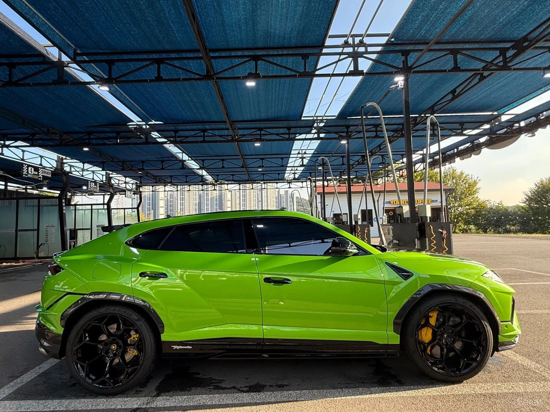 Urus