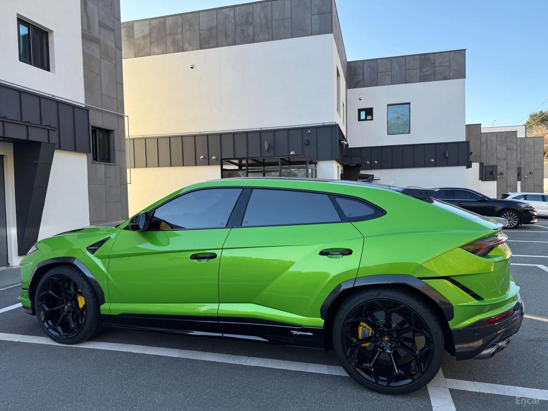 Urus