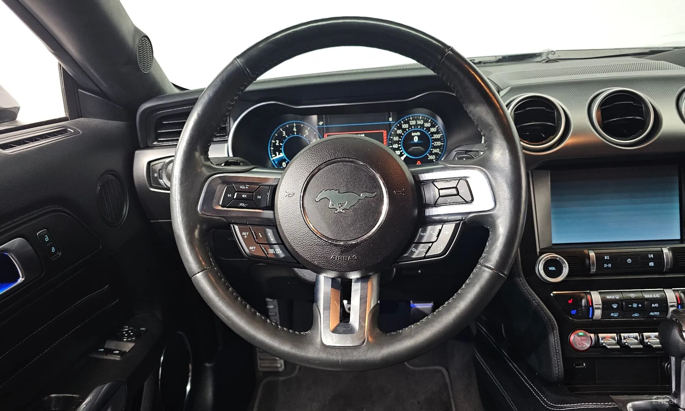 Mustang