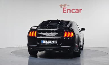 Mustang