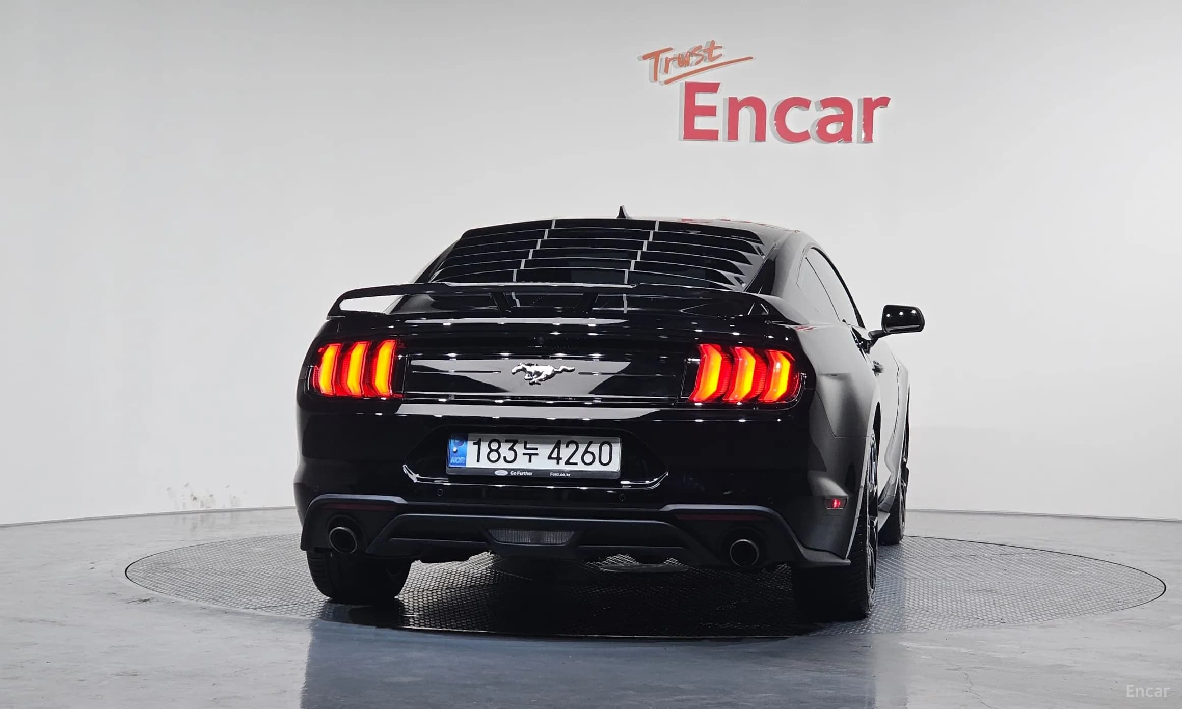 Mustang