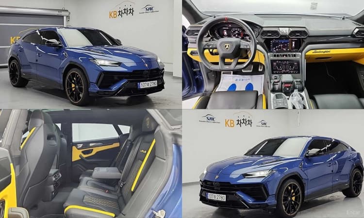 Urus