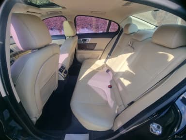 New XF