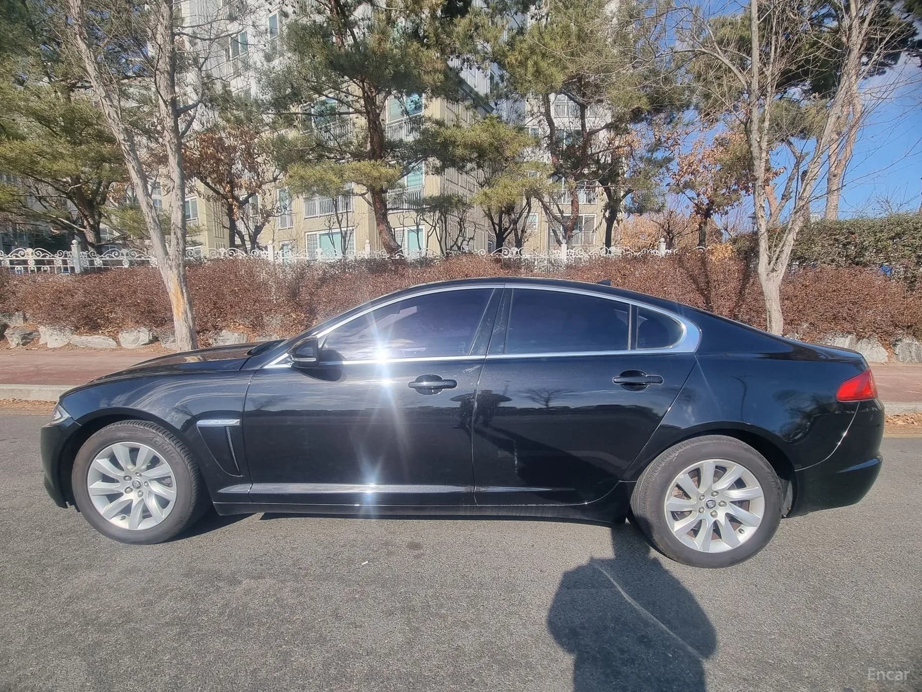 New XF