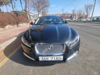 New XF